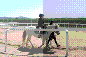 승마 체험