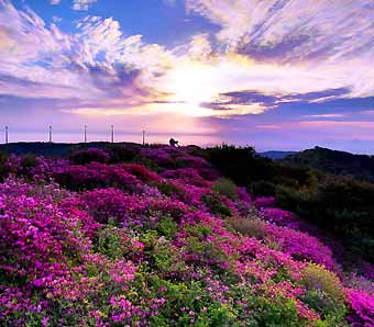 한우산