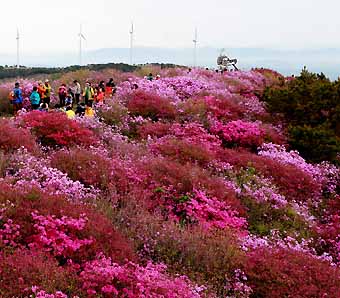 한우산