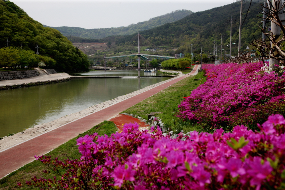 의령천