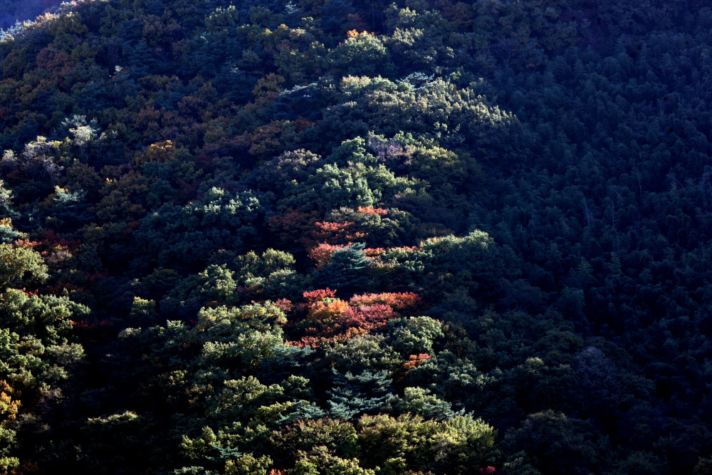 의령남산