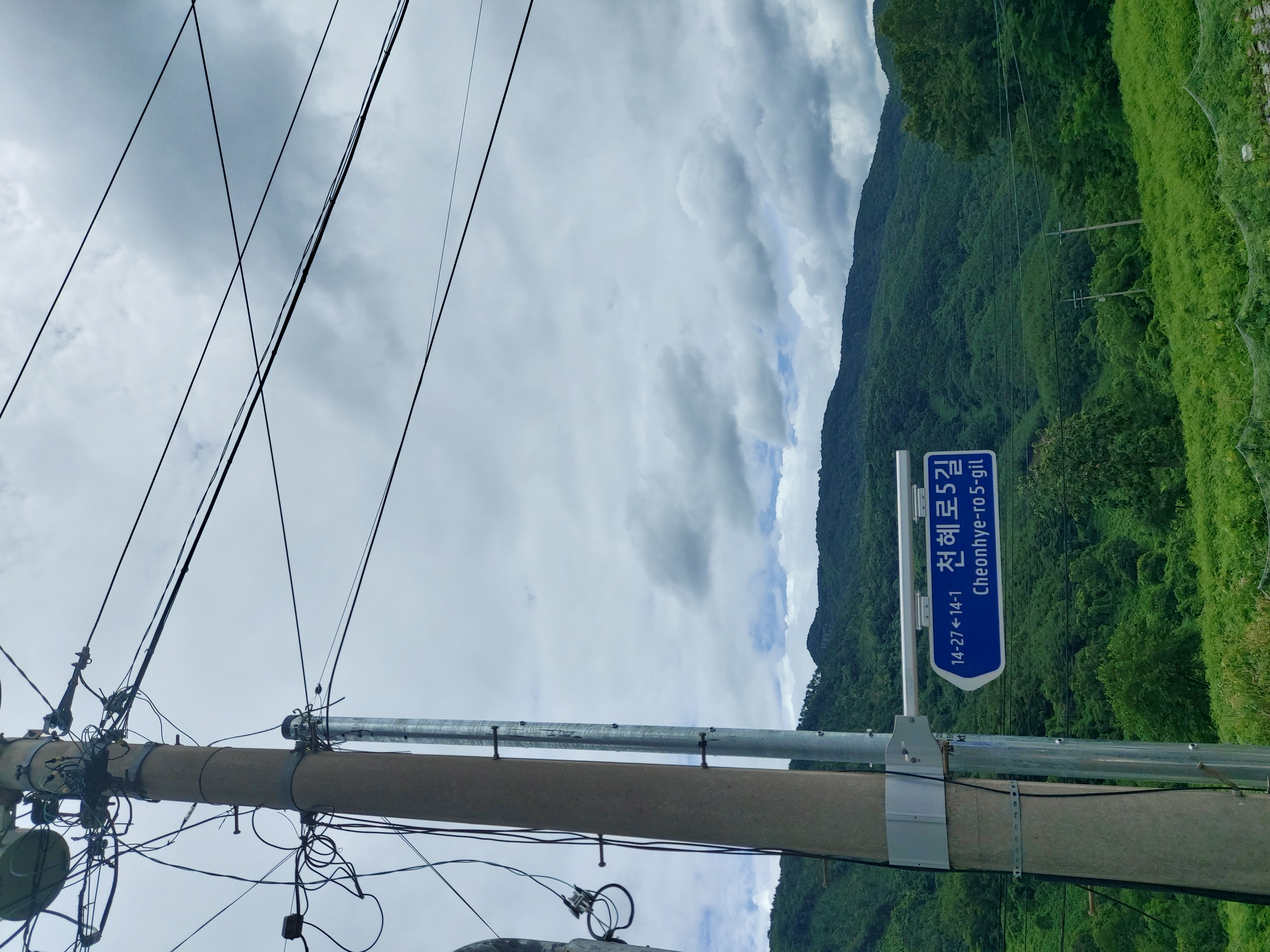 kt통신사 전신주 이전요구