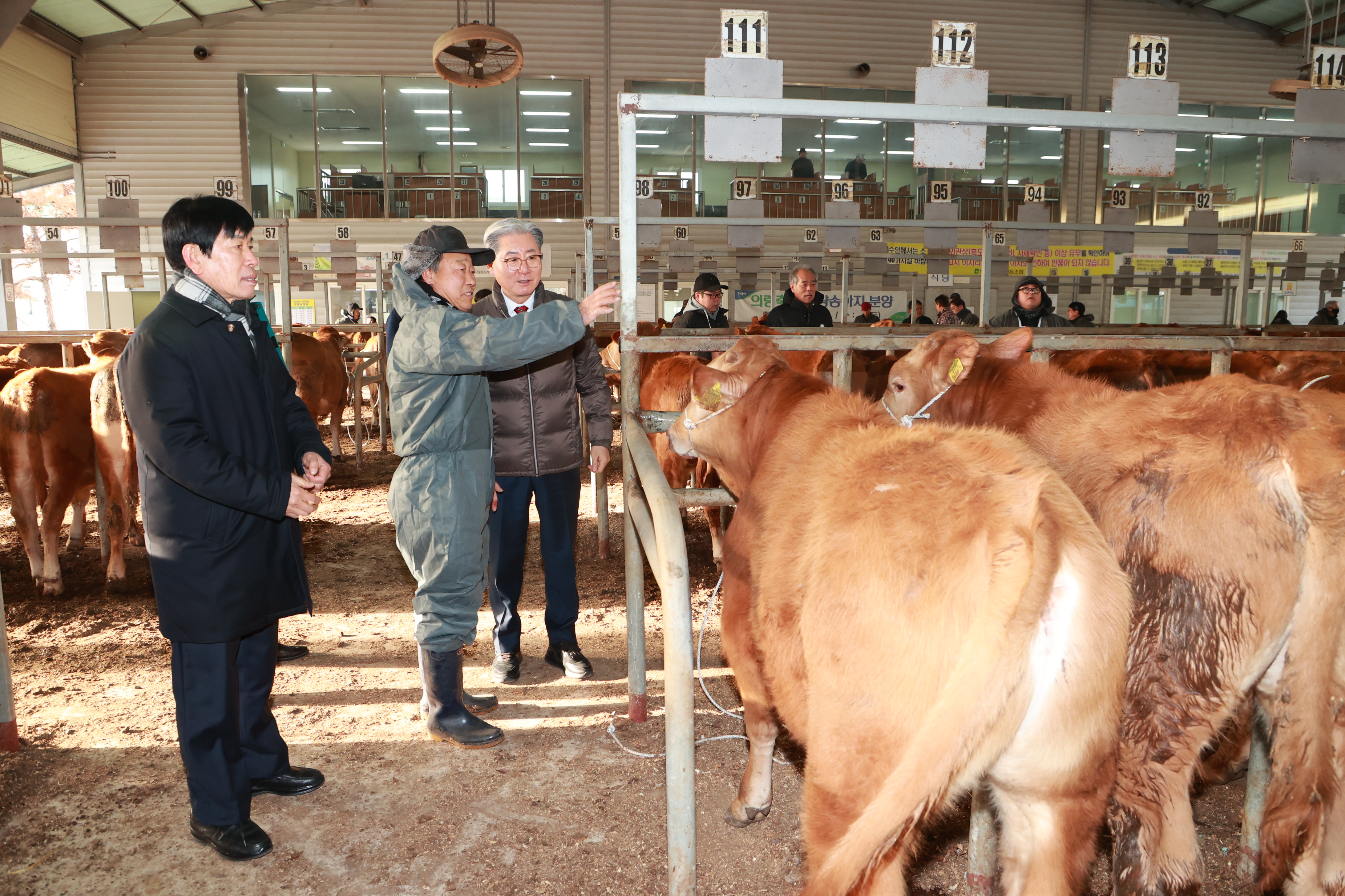 의령군, 올해 첫 등록우 경매시장 현장 점검