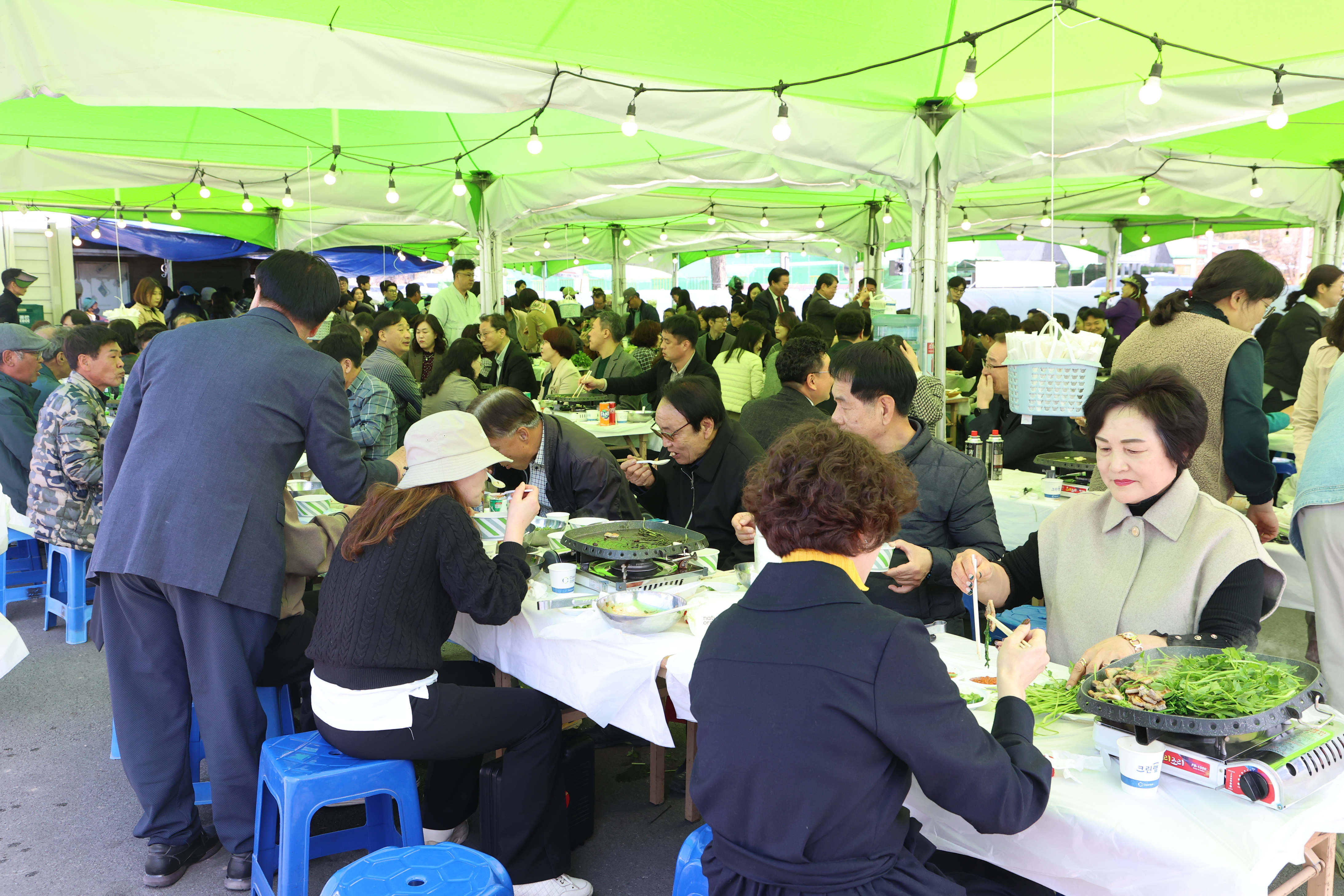 의령 가례 밭미나리 축제 13일 개최, 향긋한 봄의 맛으로 초대