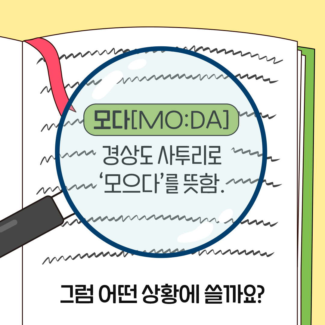 모다드림2