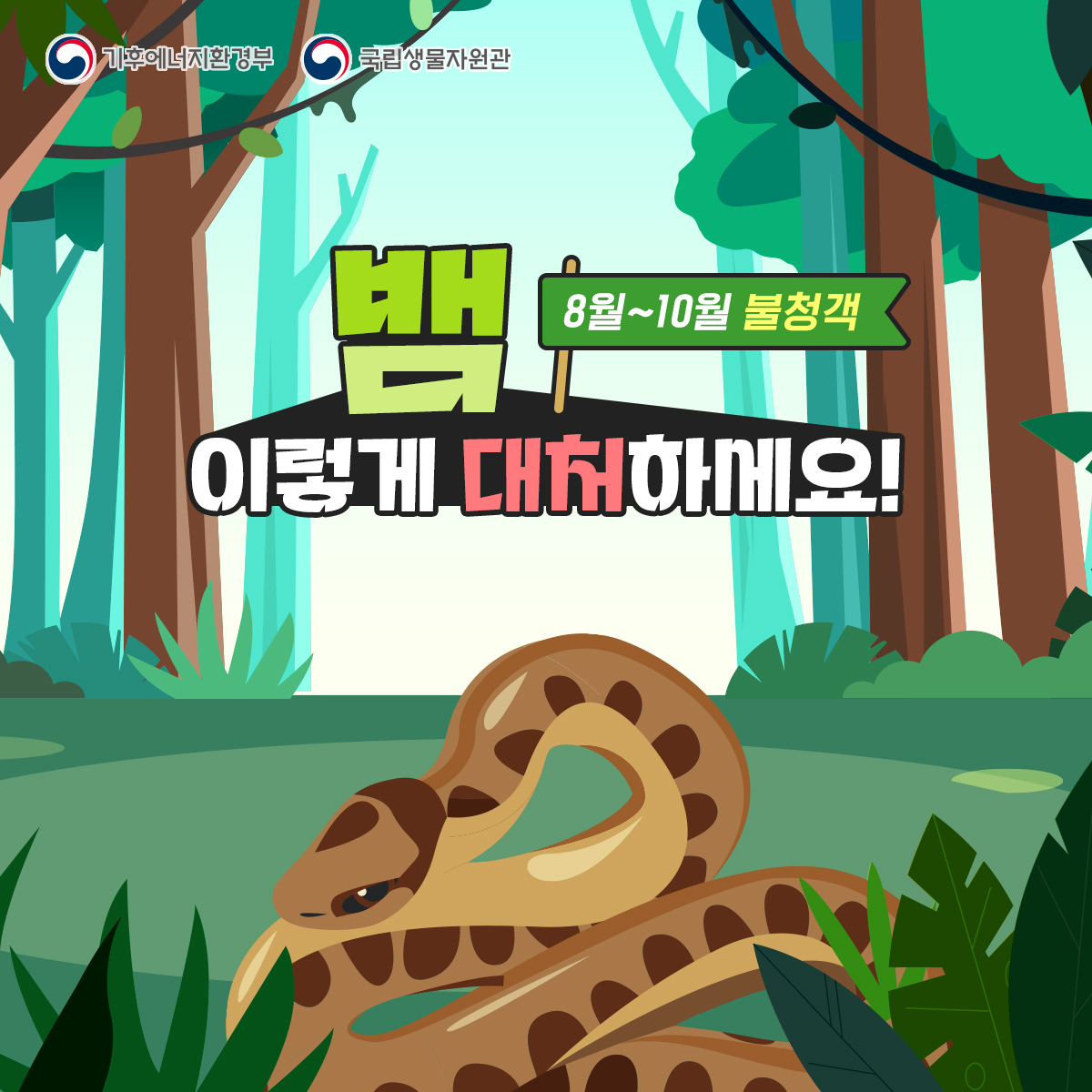 기후부 뱀 카드뉴스-01