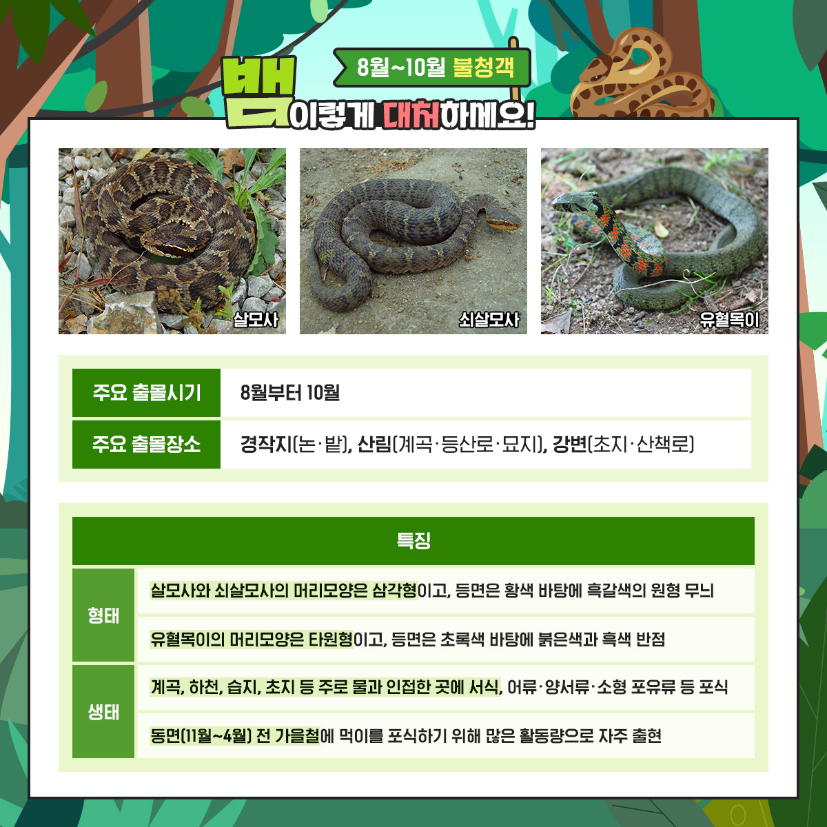 기후부 뱀 카드뉴스-02