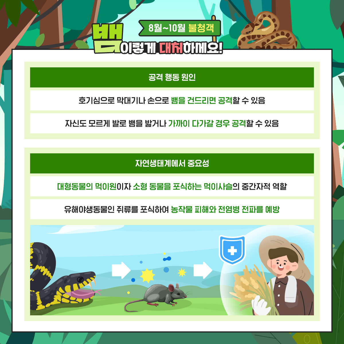 기후부 뱀 카드뉴스-03