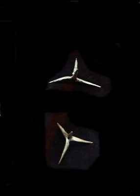마름쇠