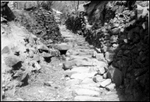칠곡면 죽공마을 5천년 묵은 마을 안길(1972년 이전사진)