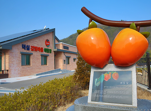 덕실감빛마을체험장02