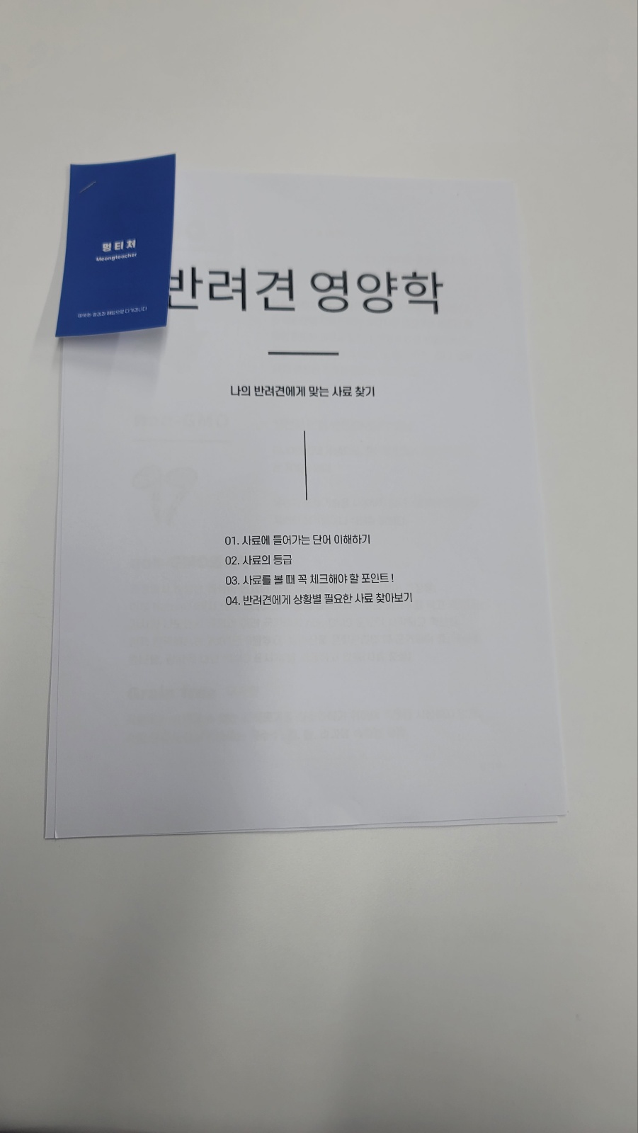 청춘만개 25년 4월 <강아지 영양학> 원데이 클래스