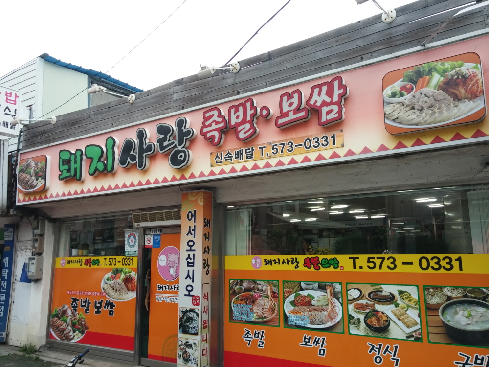 돼지사랑