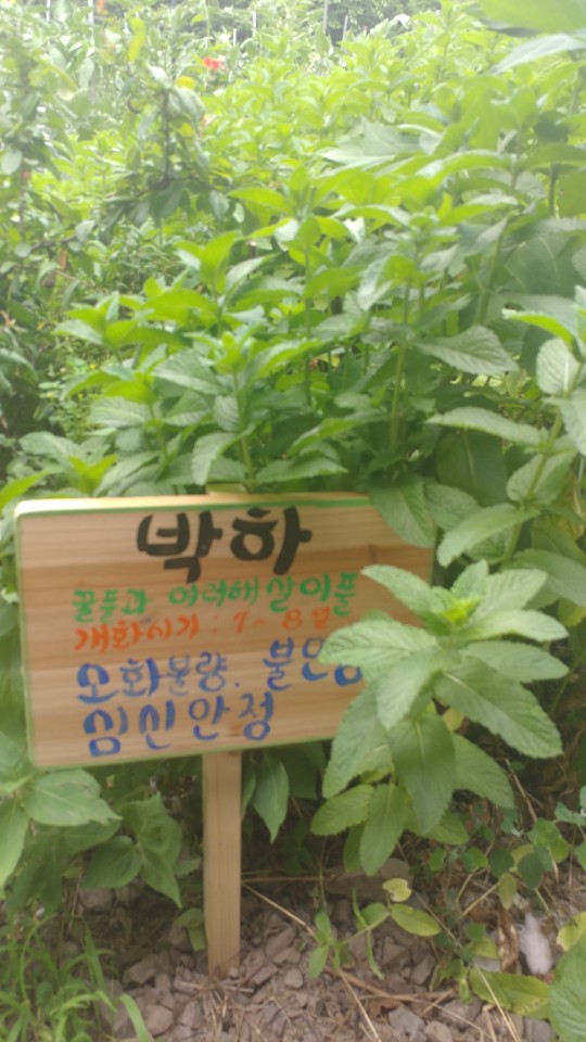 온새미로