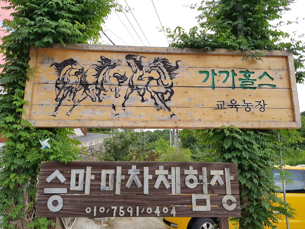 가가홀스