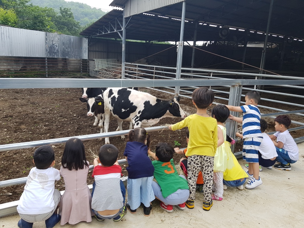 아침마당영농조합법인