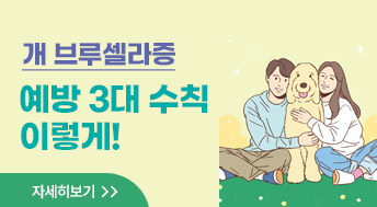개 브루셀라증 예방 3대 수칙 이렇게!

자세히보기